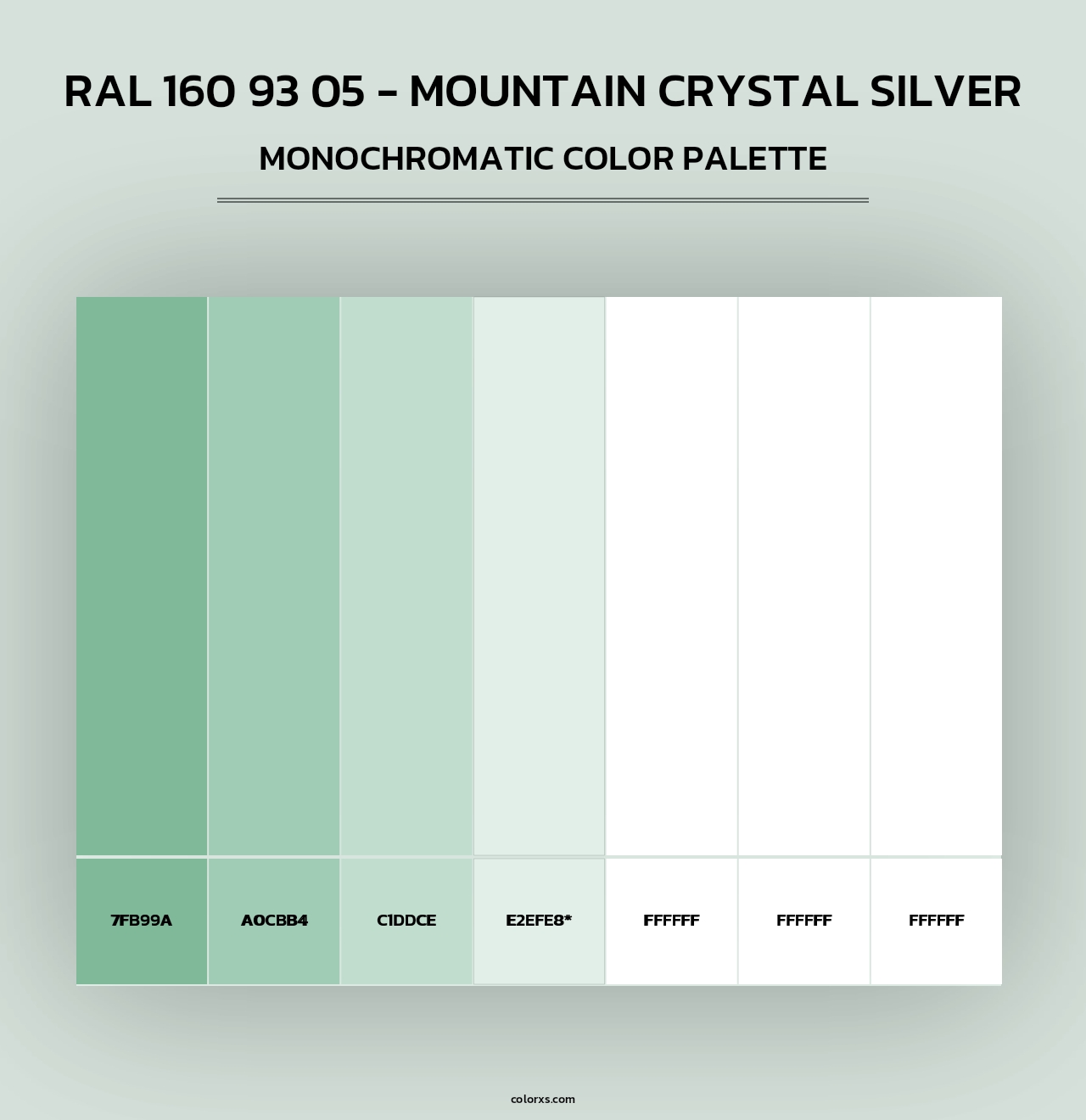 RAL 160 93 05 - Mountain Crystal Silver - Monochromatic Color Palette
