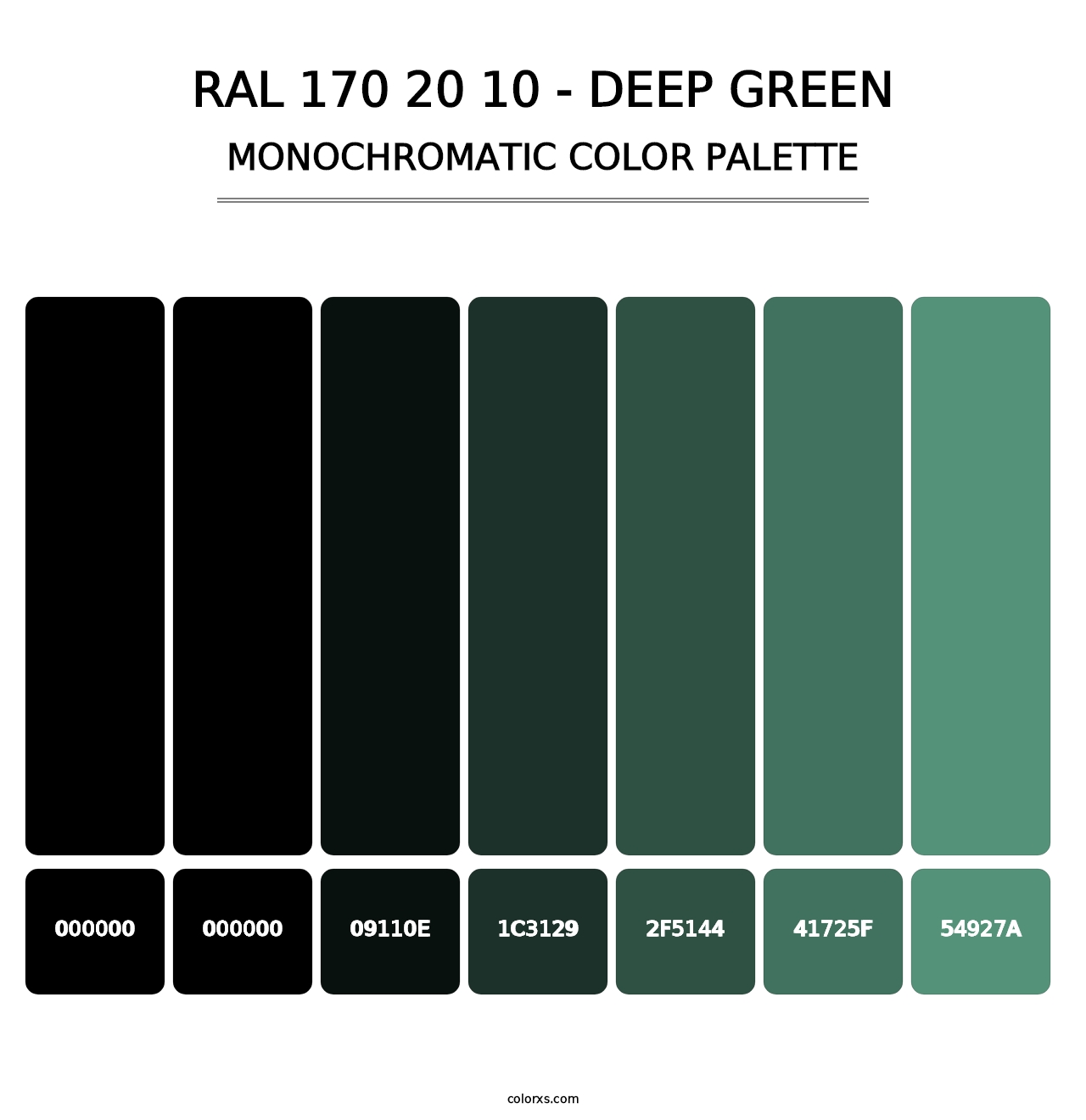 RAL 170 20 10 - Deep Green - Monochromatic Color Palette