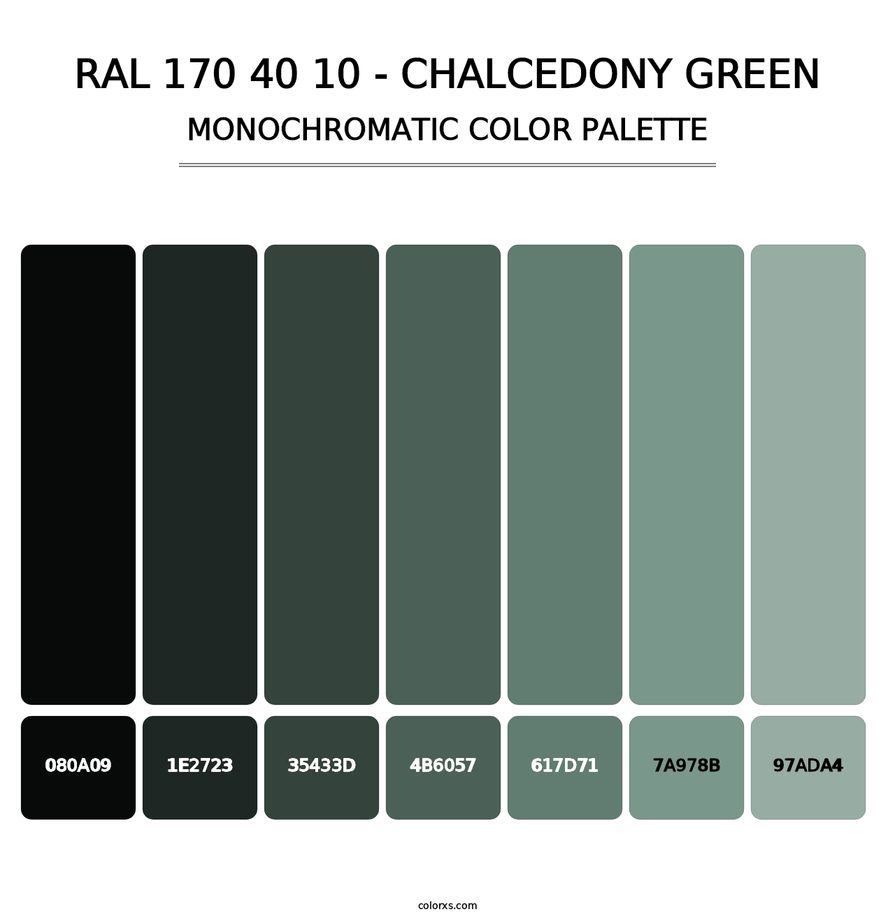 RAL 170 40 10 - Chalcedony Green - Monochromatic Color Palette
