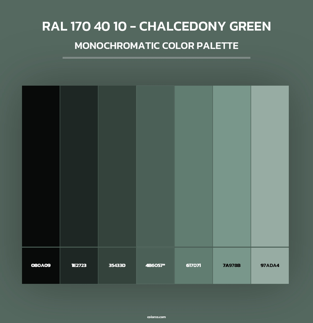 RAL 170 40 10 - Chalcedony Green color palettes - colorxs.com