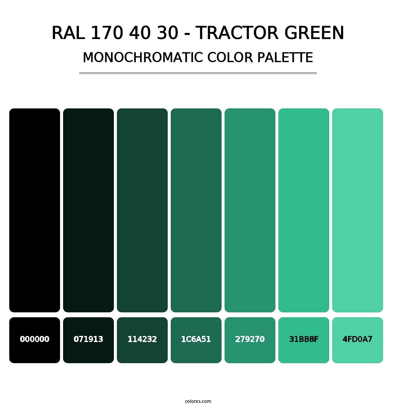 RAL 170 40 30 - Tractor Green - Monochromatic Color Palette