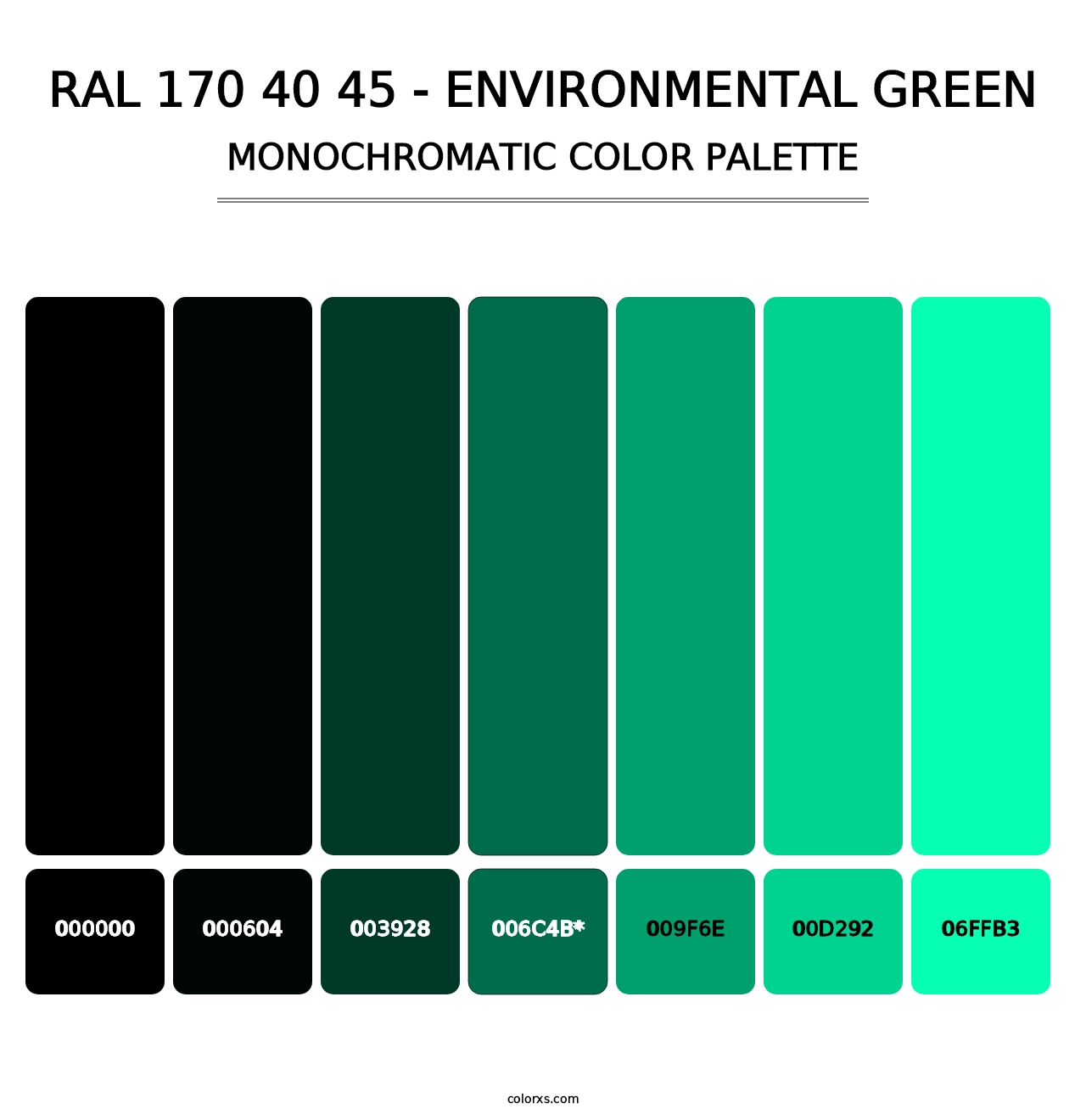 RAL 170 40 45 - Environmental Green - Monochromatic Color Palette
