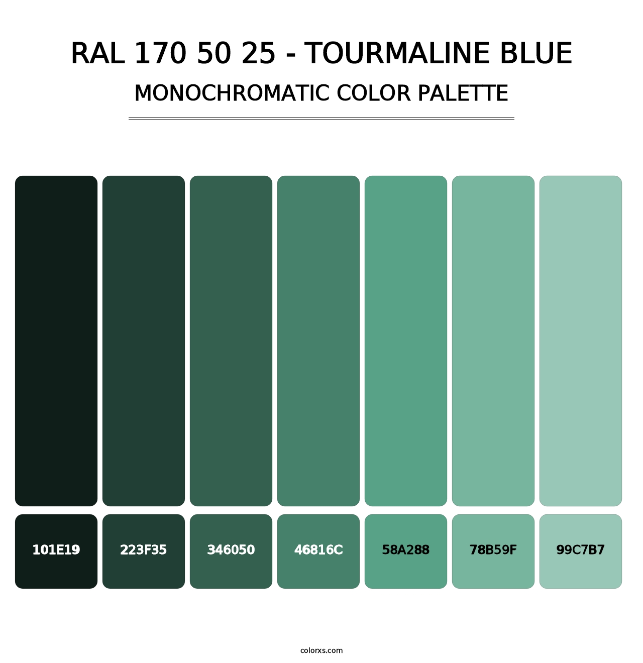 RAL 170 50 25 - Tourmaline Blue - Monochromatic Color Palette