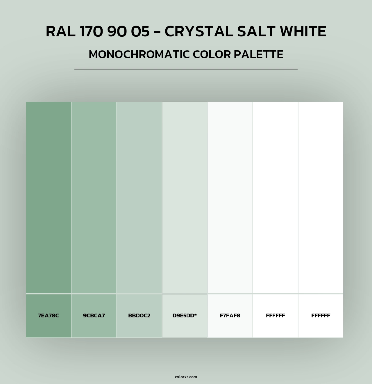 RAL 170 90 05 - Crystal Salt White - Monochromatic Color Palette