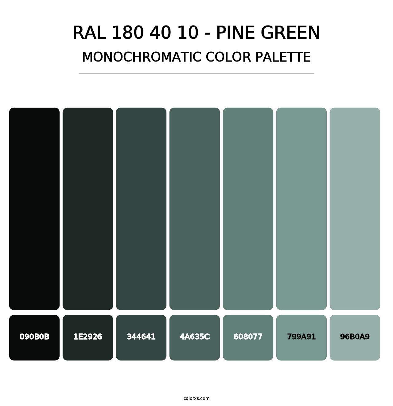 RAL 180 40 10 - Pine Green - Monochromatic Color Palette