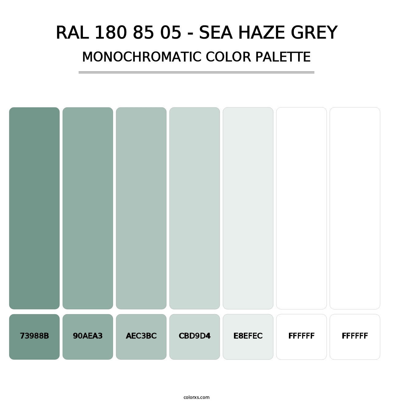 RAL 180 85 05 - Sea Haze Grey - Monochromatic Color Palette