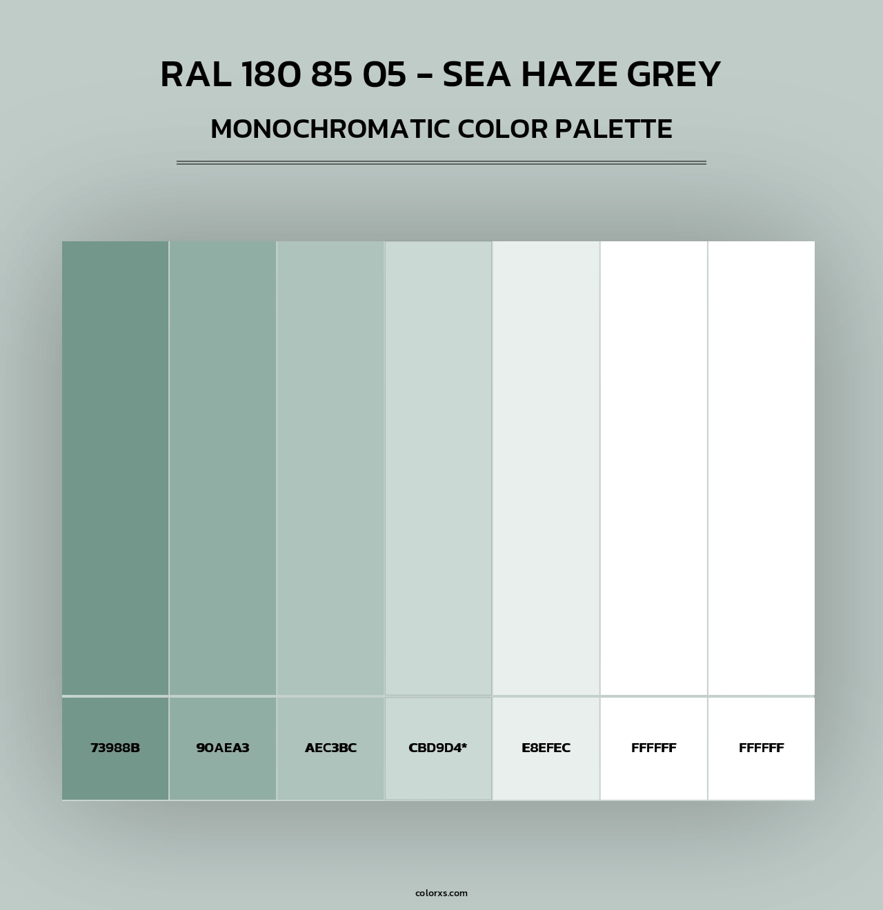 RAL 180 85 05 - Sea Haze Grey - Monochromatic Color Palette