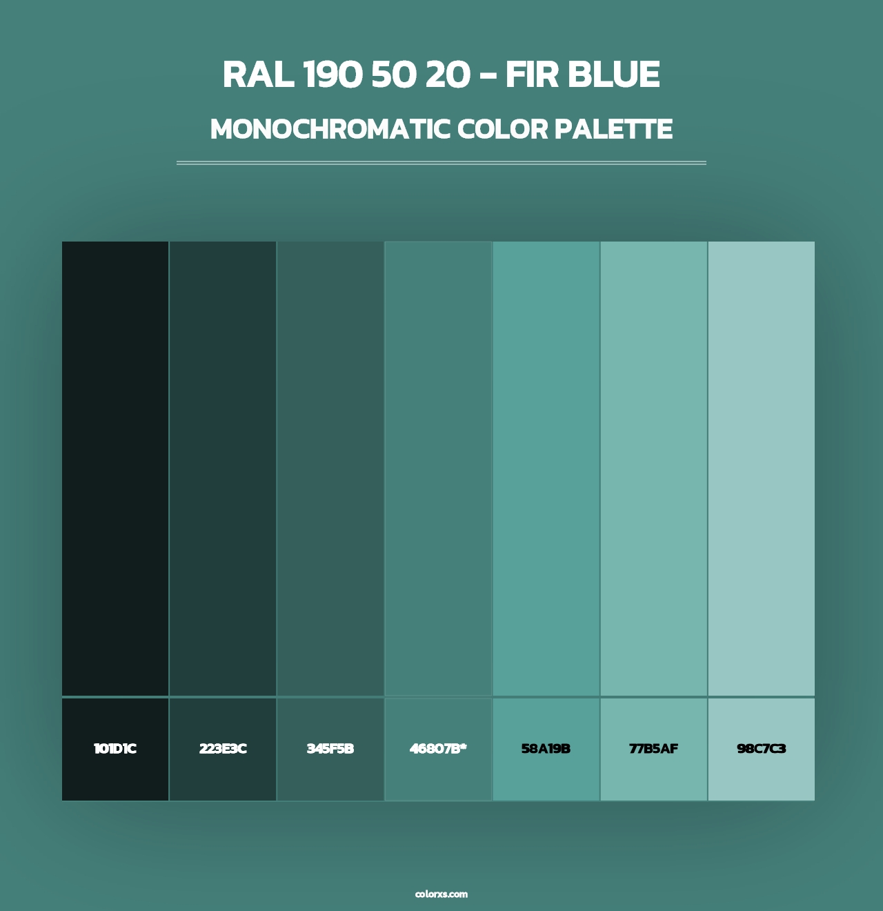 RAL 190 50 20 - Fir Blue - Monochromatic Color Palette