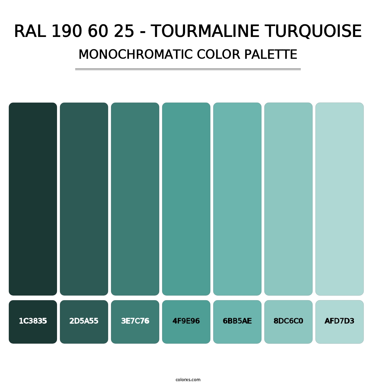 RAL 190 60 25 - Tourmaline Turquoise - Monochromatic Color Palette