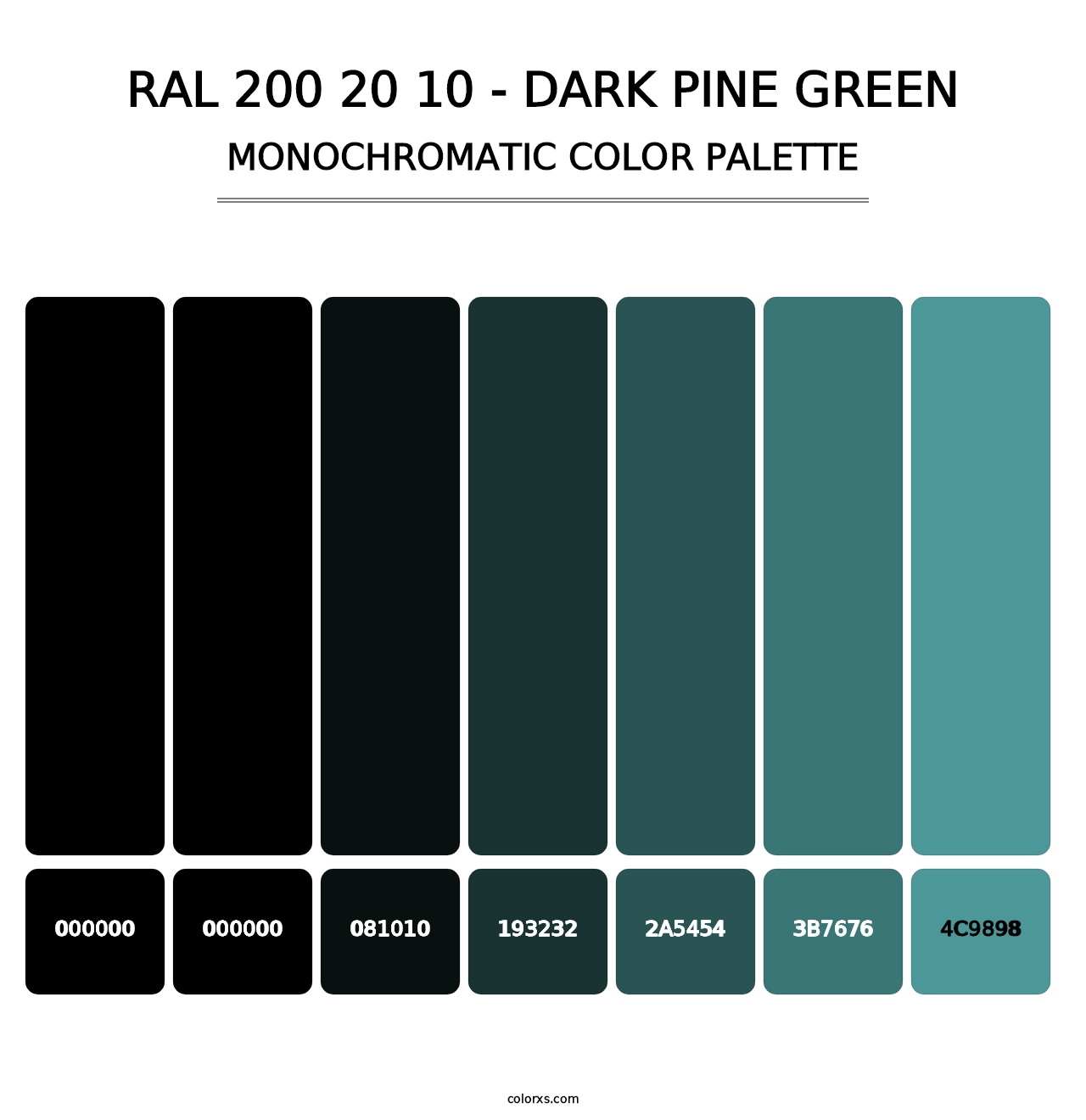 RAL 200 20 10 - Dark Pine Green - Monochromatic Color Palette