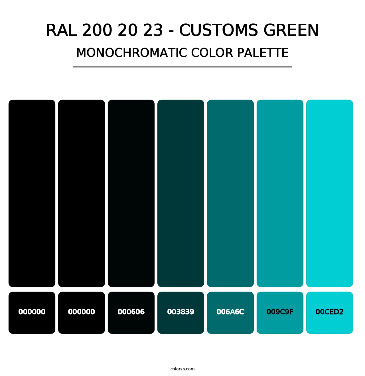 RAL 200 20 23 - Customs Green - Monochromatic Color Palette
