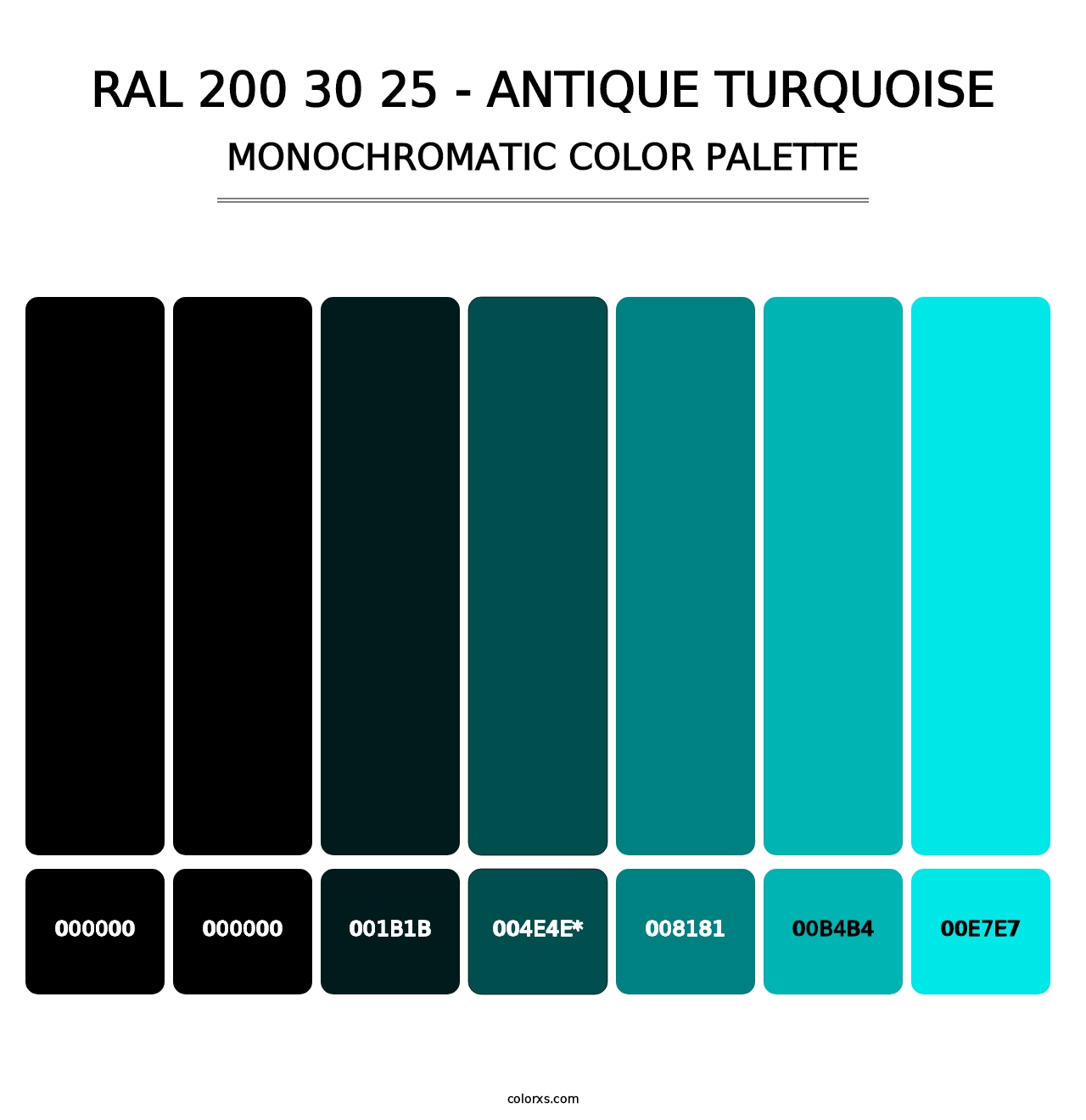 RAL 200 30 25 - Antique Turquoise - Monochromatic Color Palette