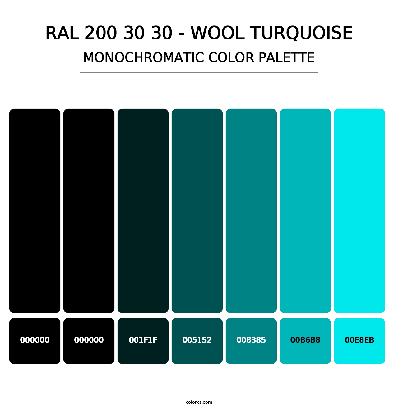 RAL 200 30 30 - Wool Turquoise - Monochromatic Color Palette