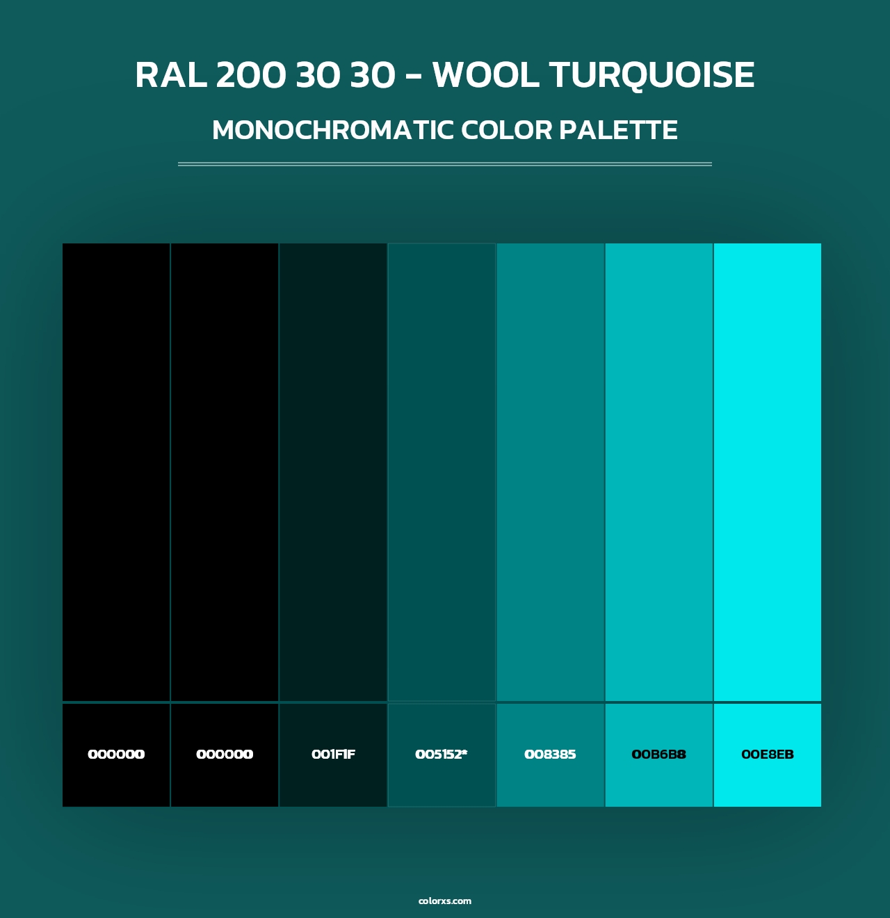 RAL 200 30 30 - Wool Turquoise - Monochromatic Color Palette