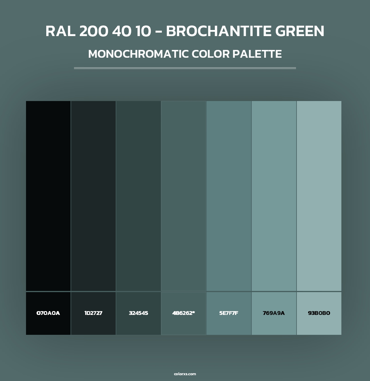 RAL 200 40 10 - Brochantite Green - Monochromatic Color Palette