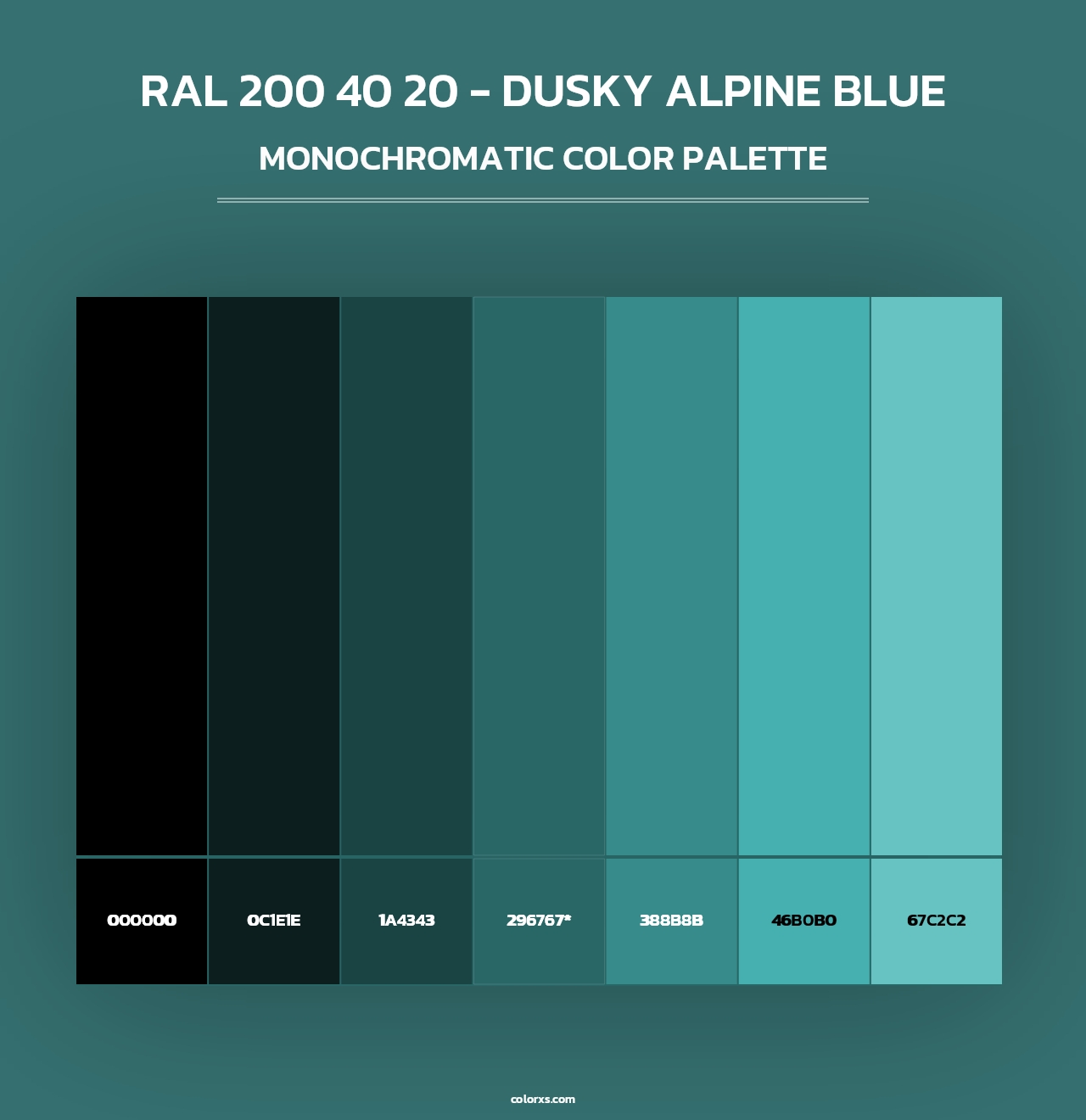 RAL 200 40 20 - Dusky Alpine Blue - Monochromatic Color Palette