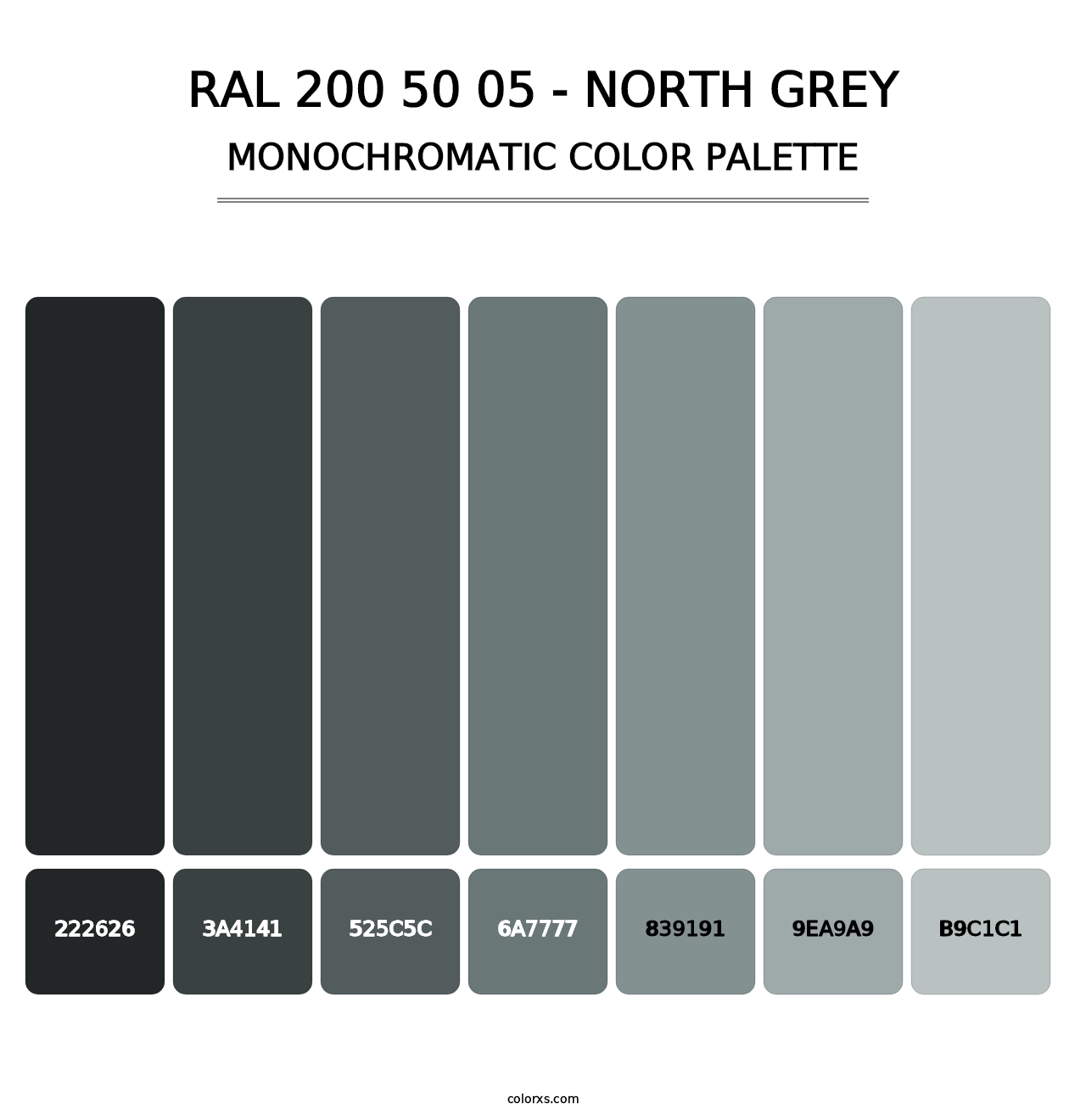 RAL 200 50 05 - North Grey - Monochromatic Color Palette