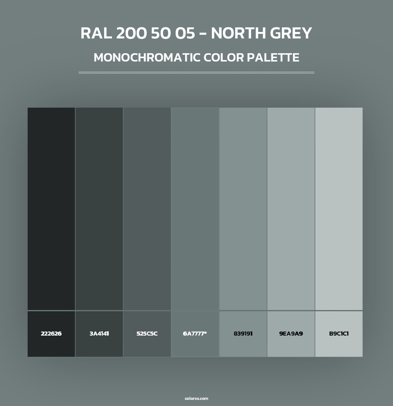 RAL 200 50 05 - North Grey - Monochromatic Color Palette