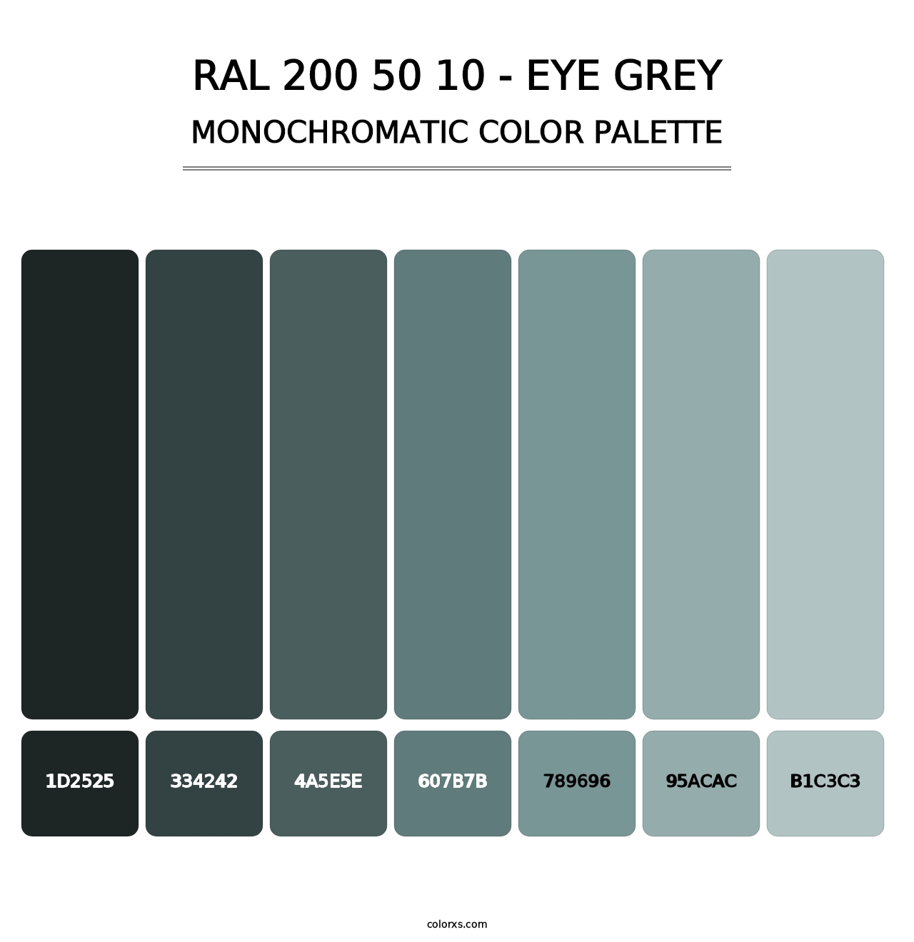 RAL 200 50 10 - Eye Grey - Monochromatic Color Palette