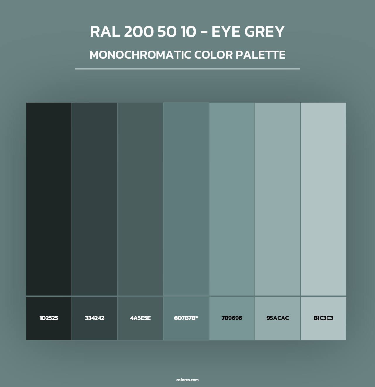 RAL 200 50 10 - Eye Grey - Monochromatic Color Palette