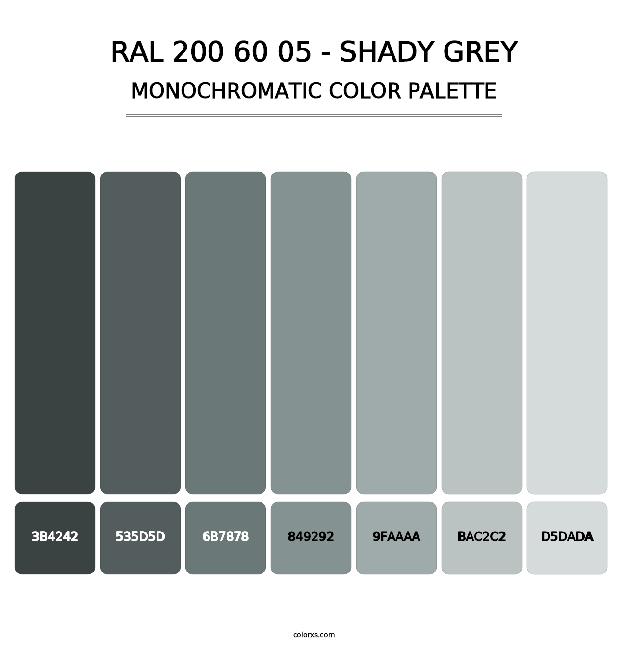 RAL 200 60 05 - Shady Grey - Monochromatic Color Palette
