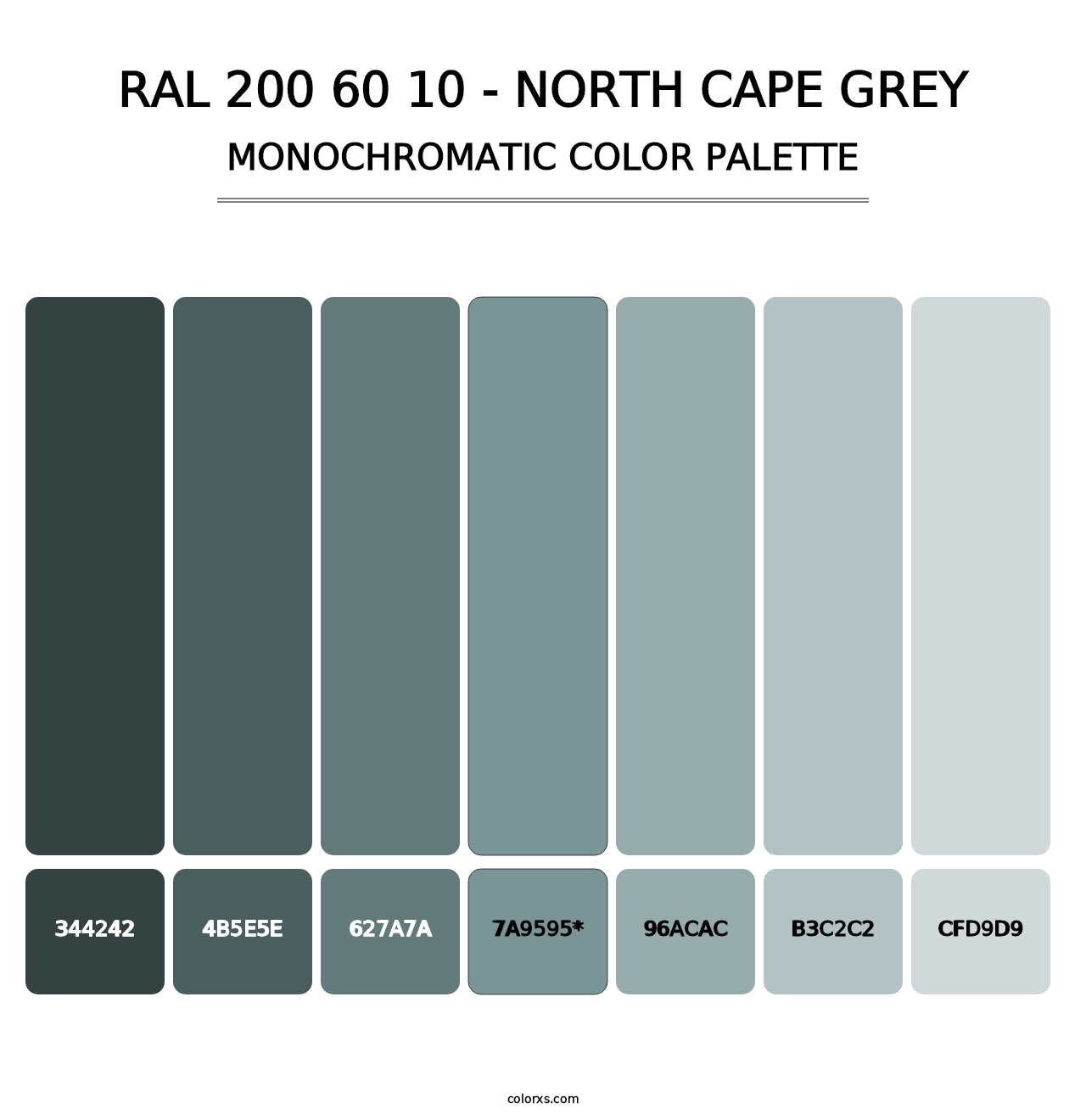 RAL 200 60 10 - North Cape Grey - Monochromatic Color Palette