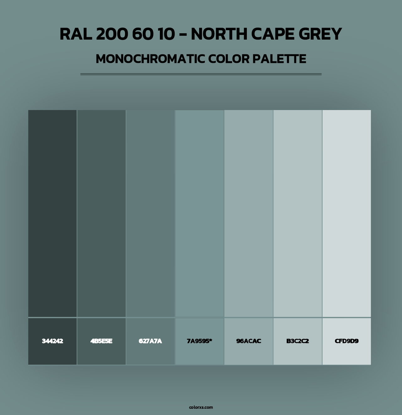 RAL 200 60 10 - North Cape Grey - Monochromatic Color Palette