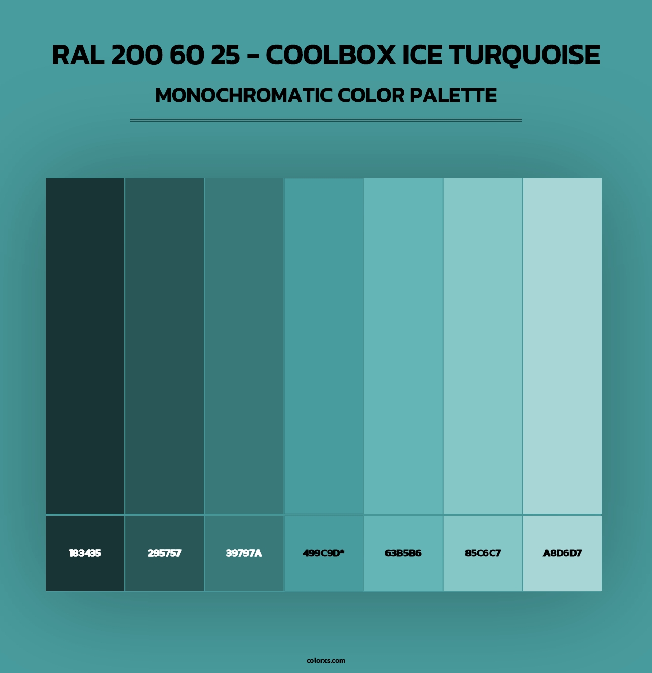 RAL 200 60 25 - Coolbox Ice Turquoise - Monochromatic Color Palette