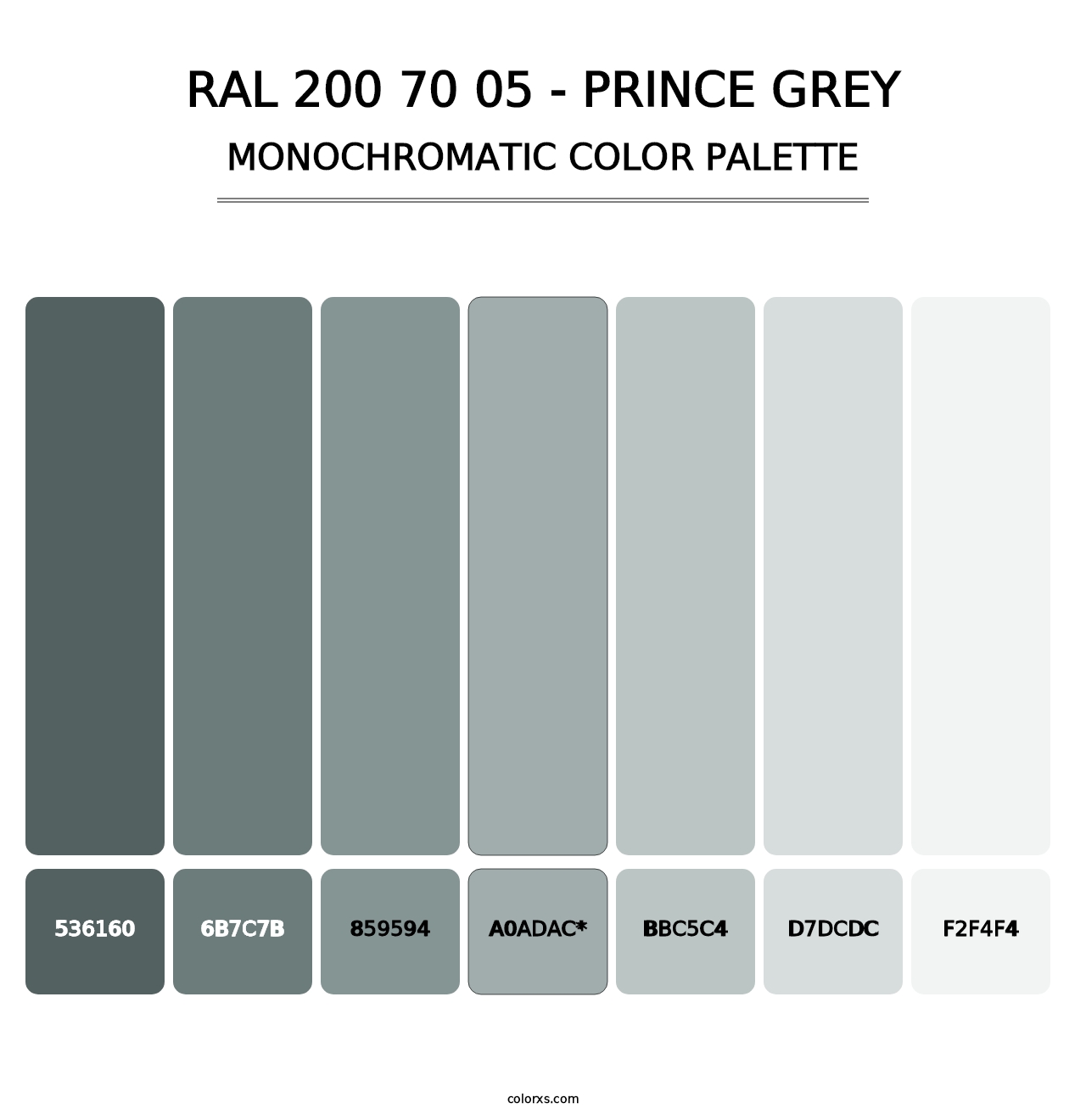 RAL 200 70 05 - Prince Grey - Monochromatic Color Palette