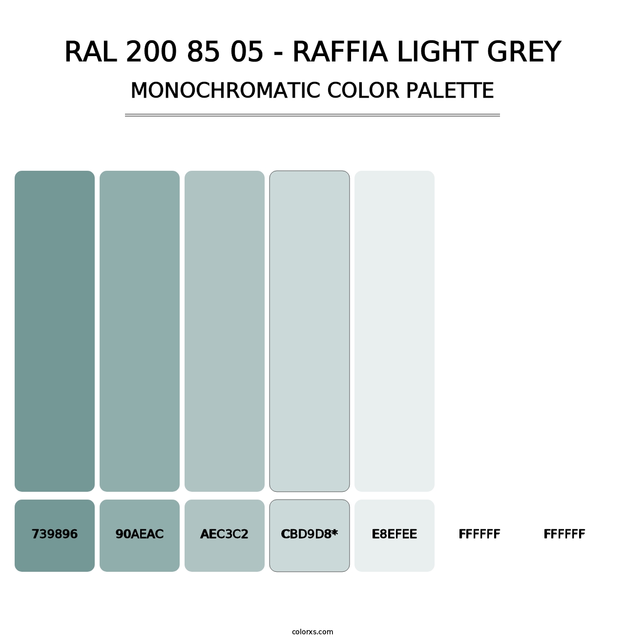 RAL 200 85 05 - Raffia Light Grey - Monochromatic Color Palette