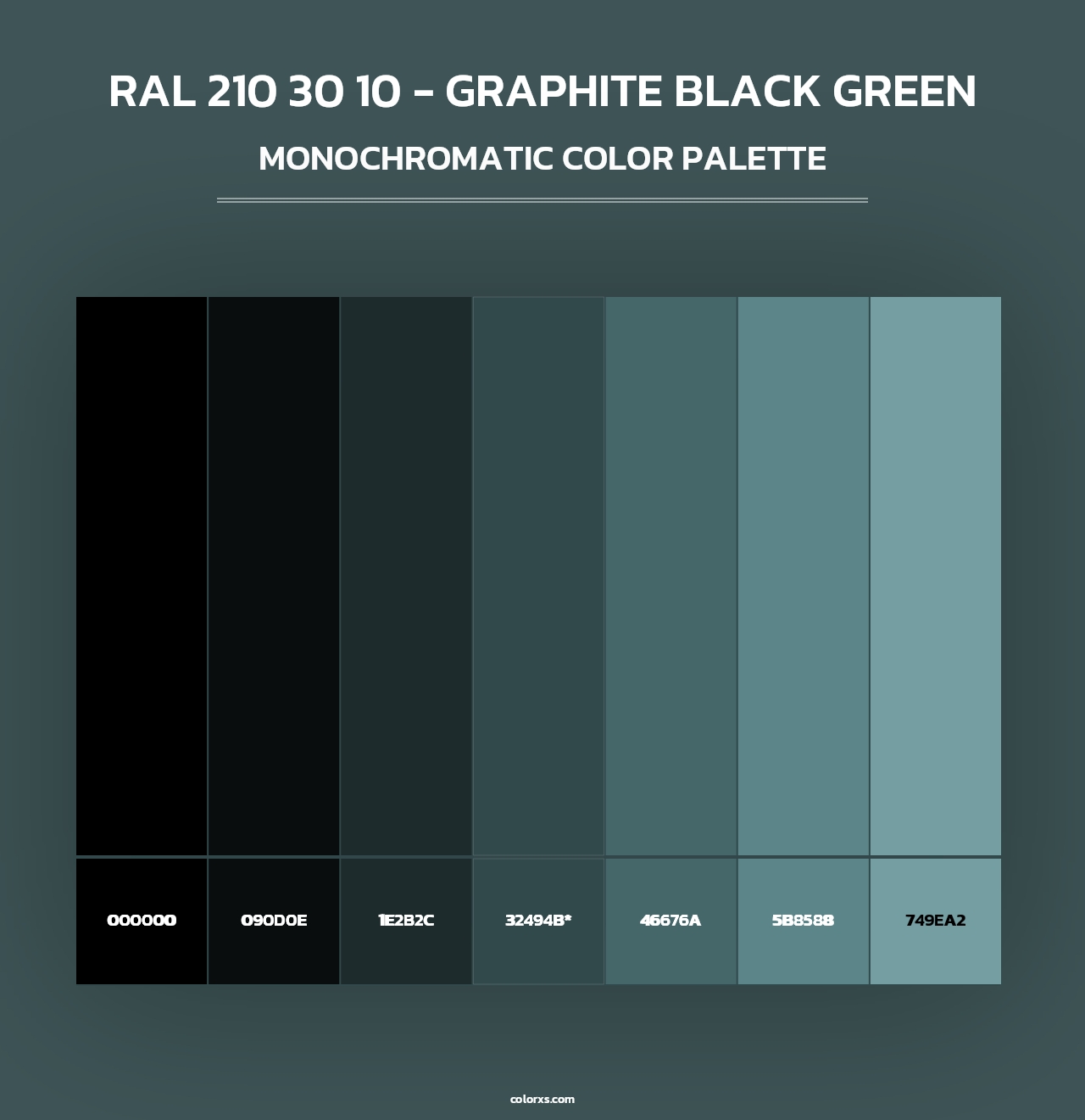 RAL 210 30 10 - Graphite Black Green - Monochromatic Color Palette
