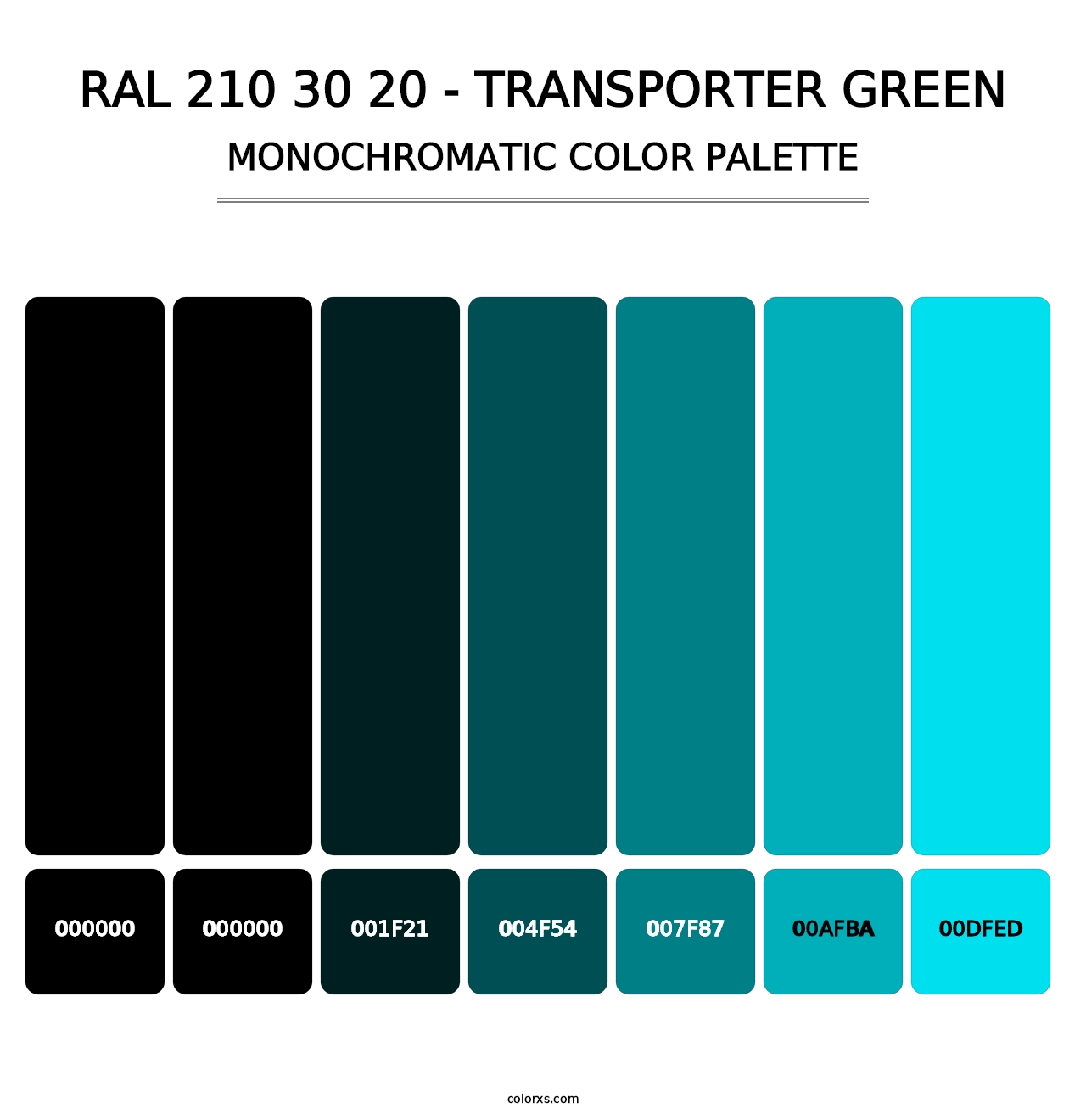 RAL 210 30 20 - Transporter Green - Monochromatic Color Palette