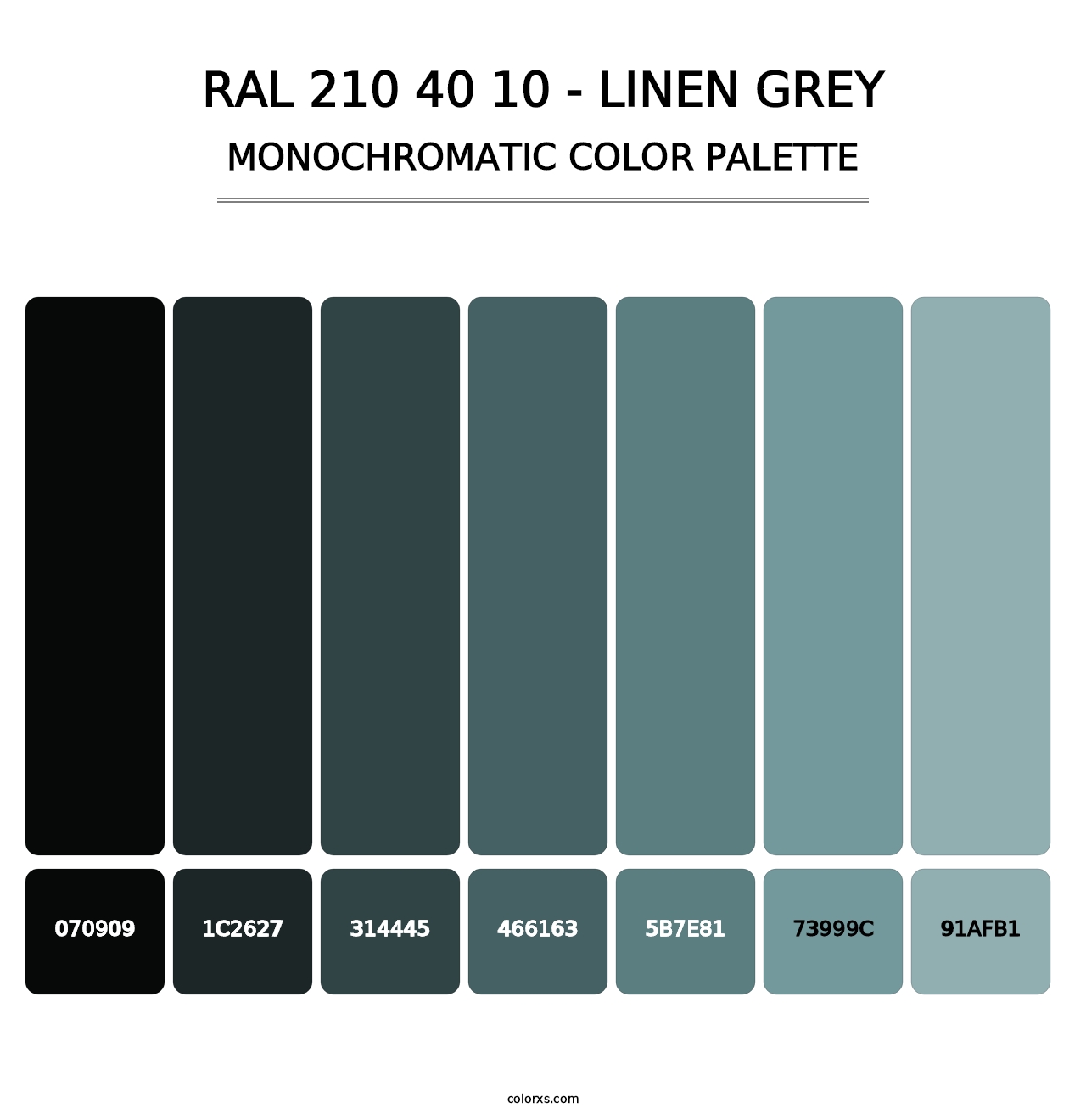 RAL 210 40 10 - Linen Grey - Monochromatic Color Palette