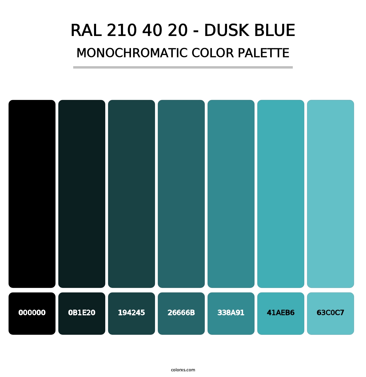 RAL 210 40 20 - Dusk Blue - Monochromatic Color Palette
