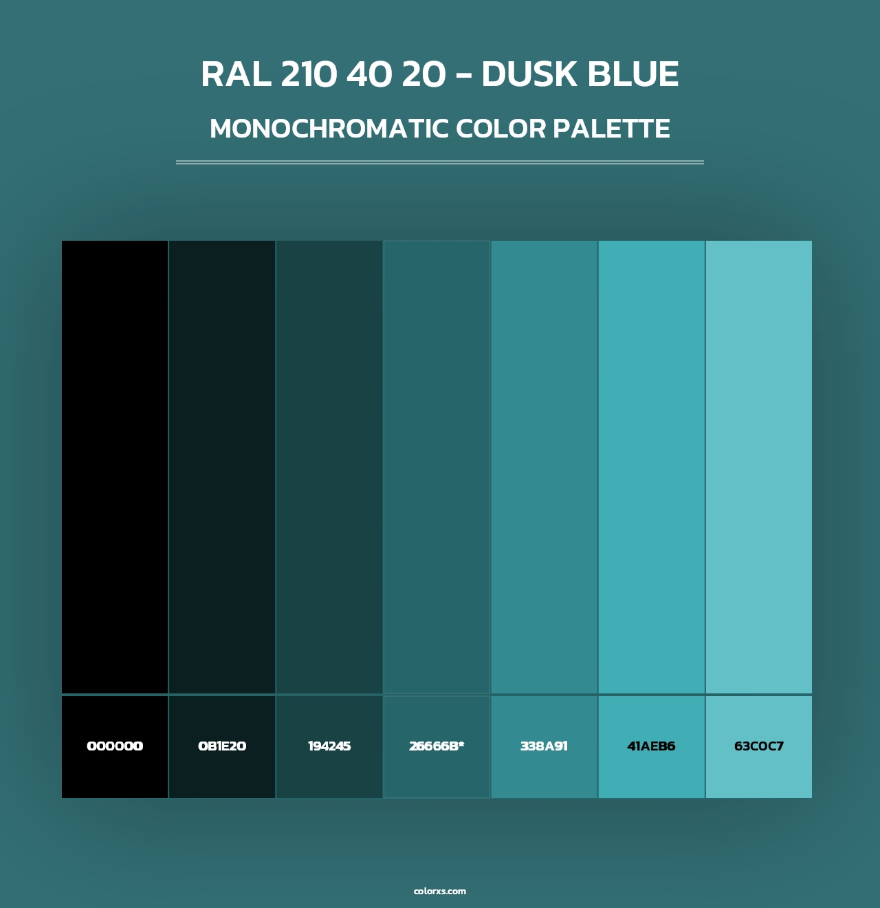 RAL 210 40 20 - Dusk Blue - Monochromatic Color Palette