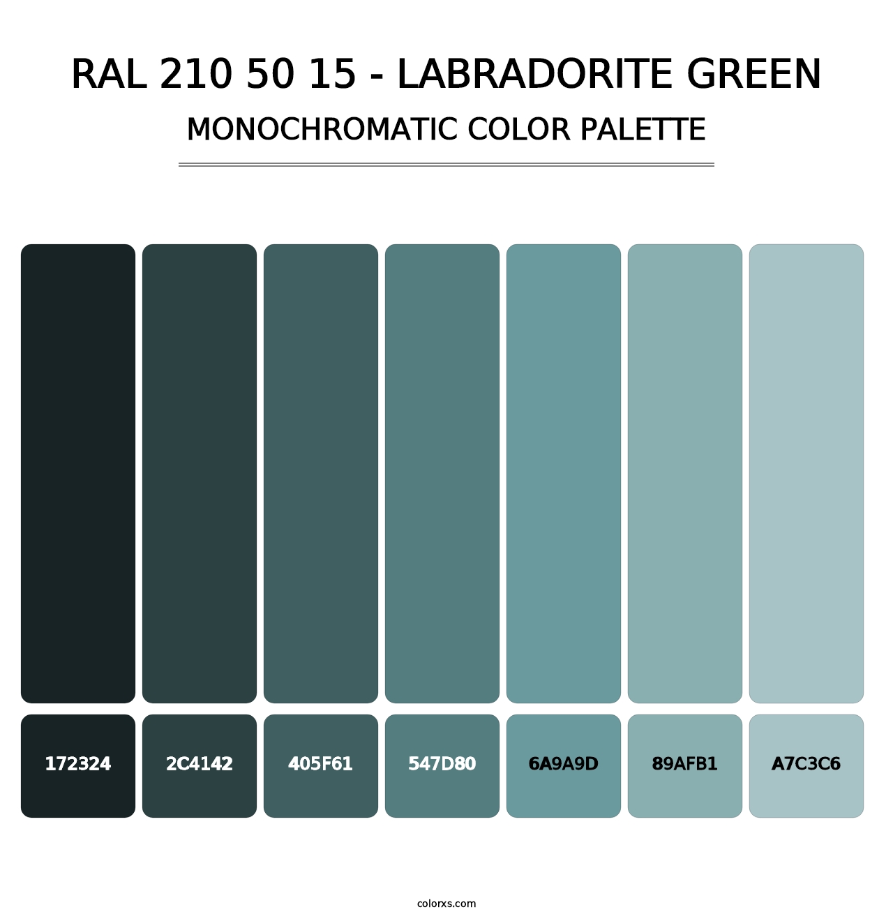 RAL 210 50 15 - Labradorite Green - Monochromatic Color Palette