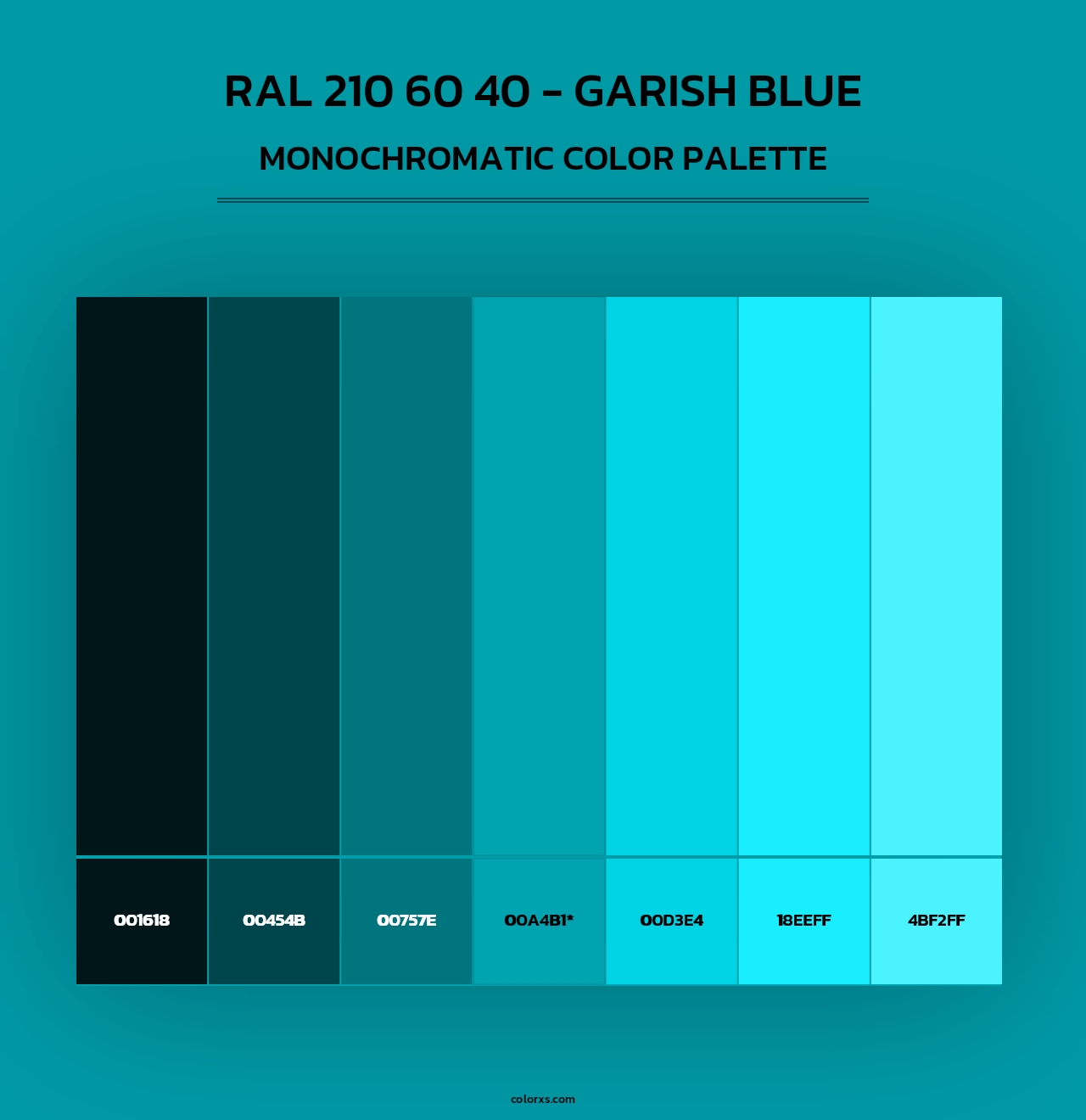 RAL 210 60 40 - Garish Blue - Monochromatic Color Palette