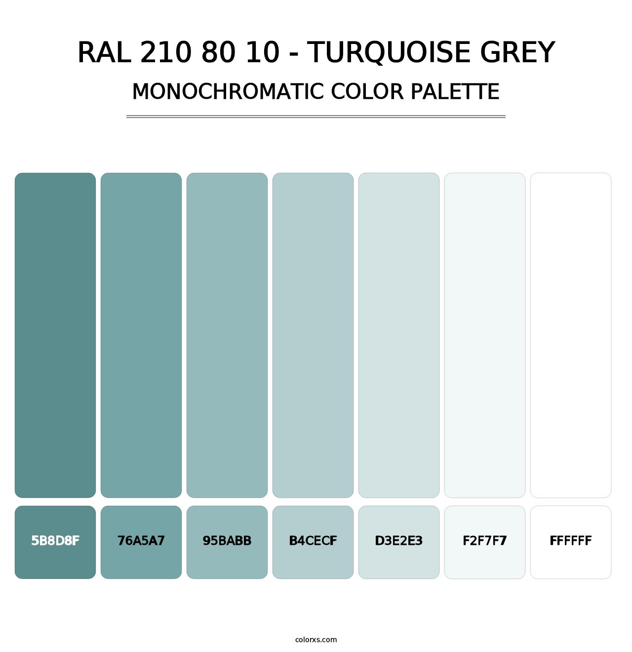 RAL 210 80 10 - Turquoise Grey - Monochromatic Color Palette