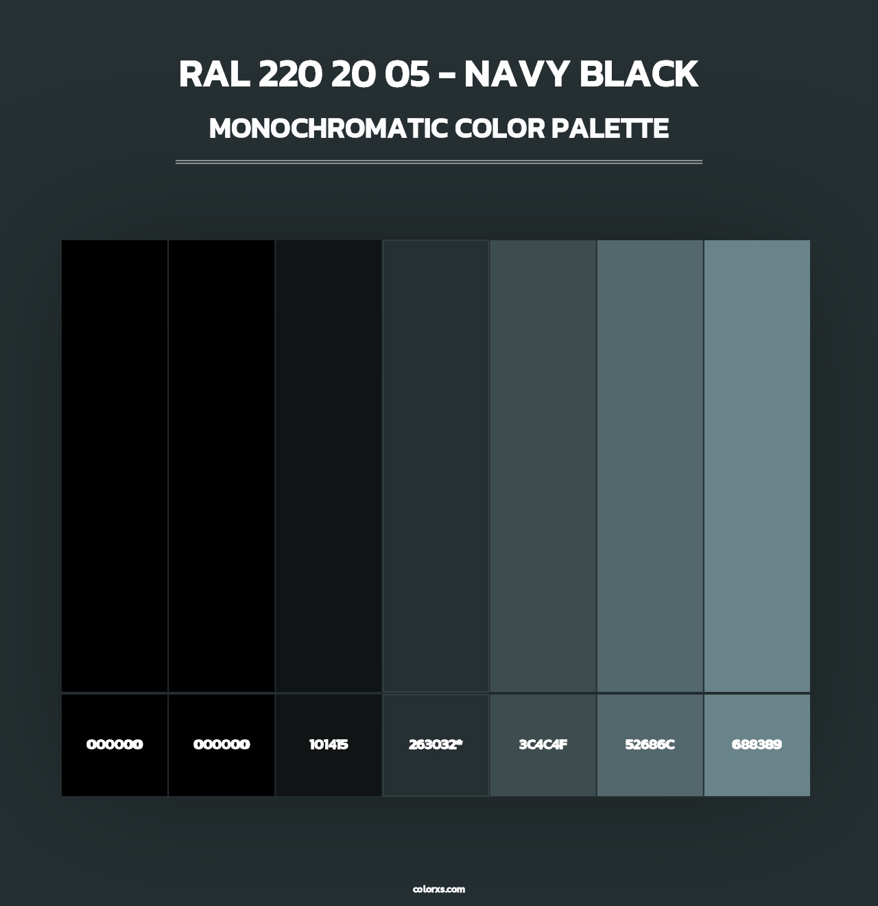 RAL 220 20 05 - Navy Black - Monochromatic Color Palette