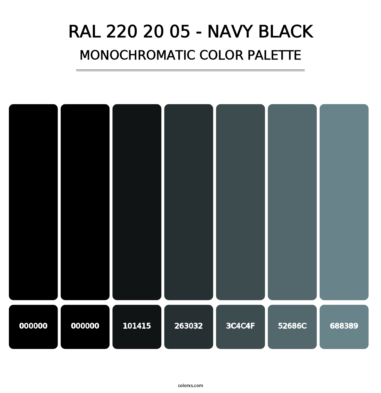 RAL 220 20 05 - Navy Black - Monochromatic Color Palette