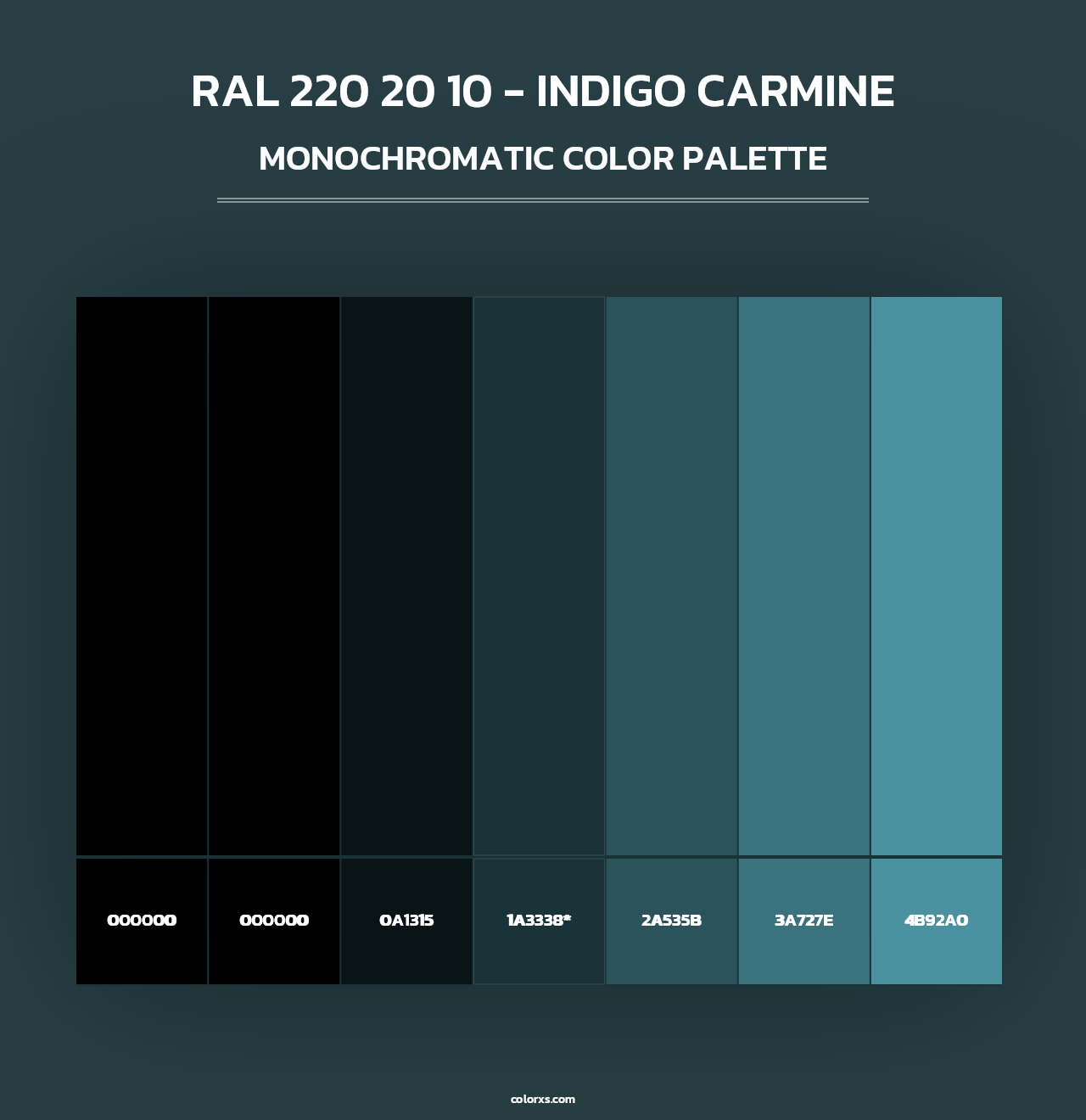 RAL 220 20 10 - Indigo Carmine - Monochromatic Color Palette
