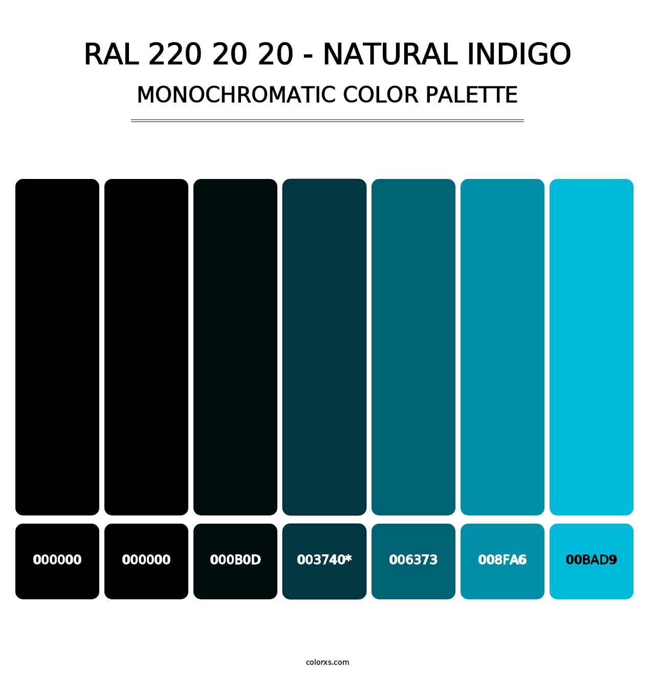 RAL 220 20 20 - Natural Indigo - Monochromatic Color Palette