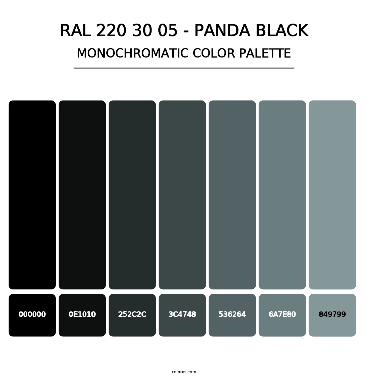 RAL 220 30 05 - Panda Black - Monochromatic Color Palette