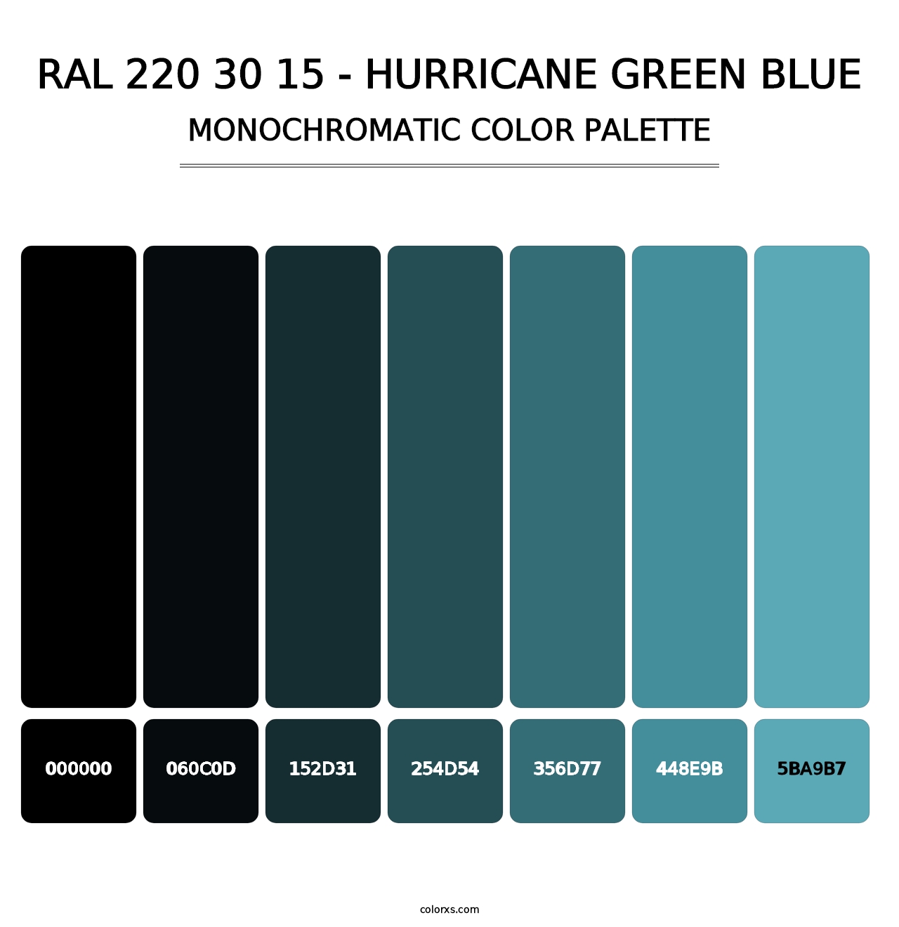 RAL 220 30 15 - Hurricane Green Blue - Monochromatic Color Palette