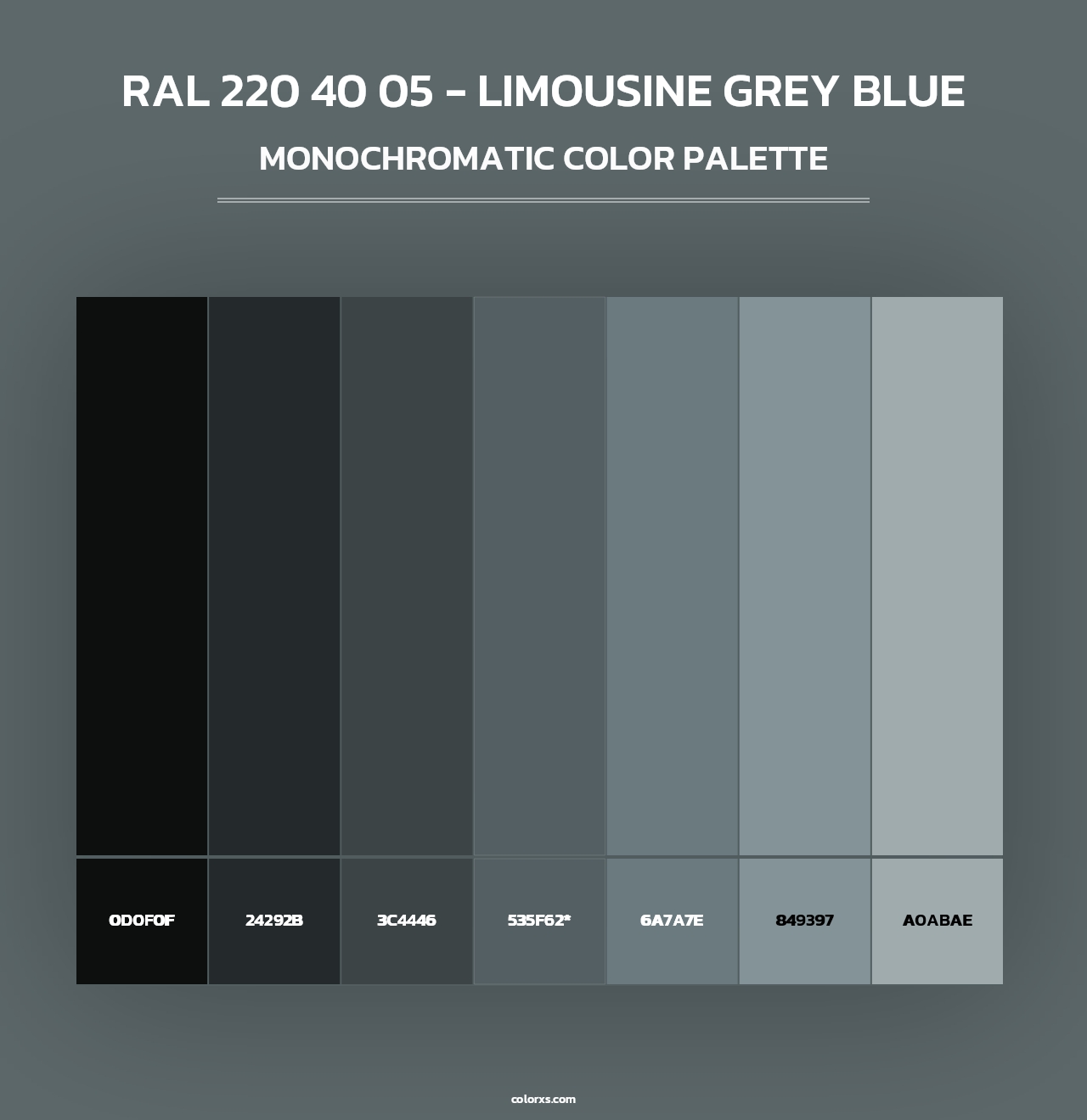 RAL 220 40 05 - Limousine Grey Blue - Monochromatic Color Palette