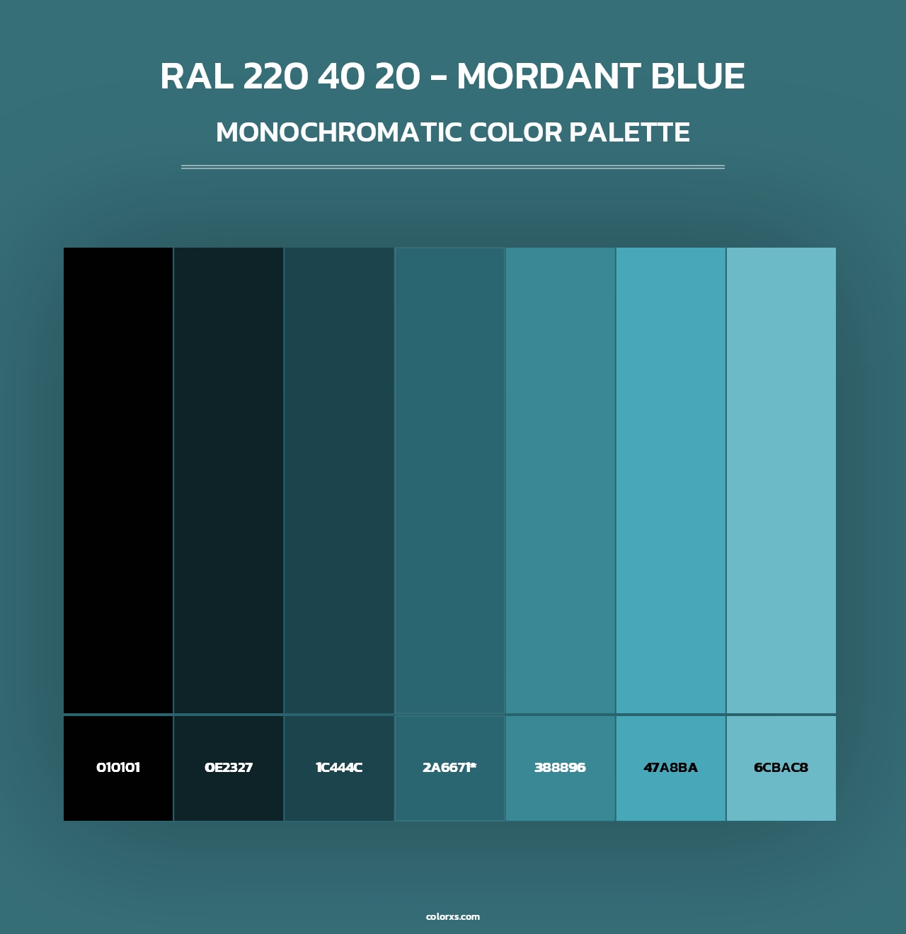 RAL 220 40 20 - Mordant Blue - Monochromatic Color Palette