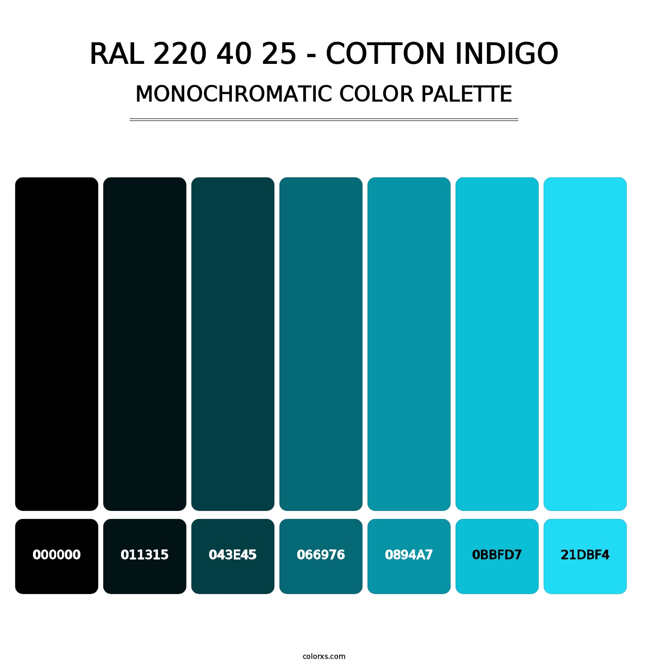 RAL 220 40 25 - Cotton Indigo - Monochromatic Color Palette