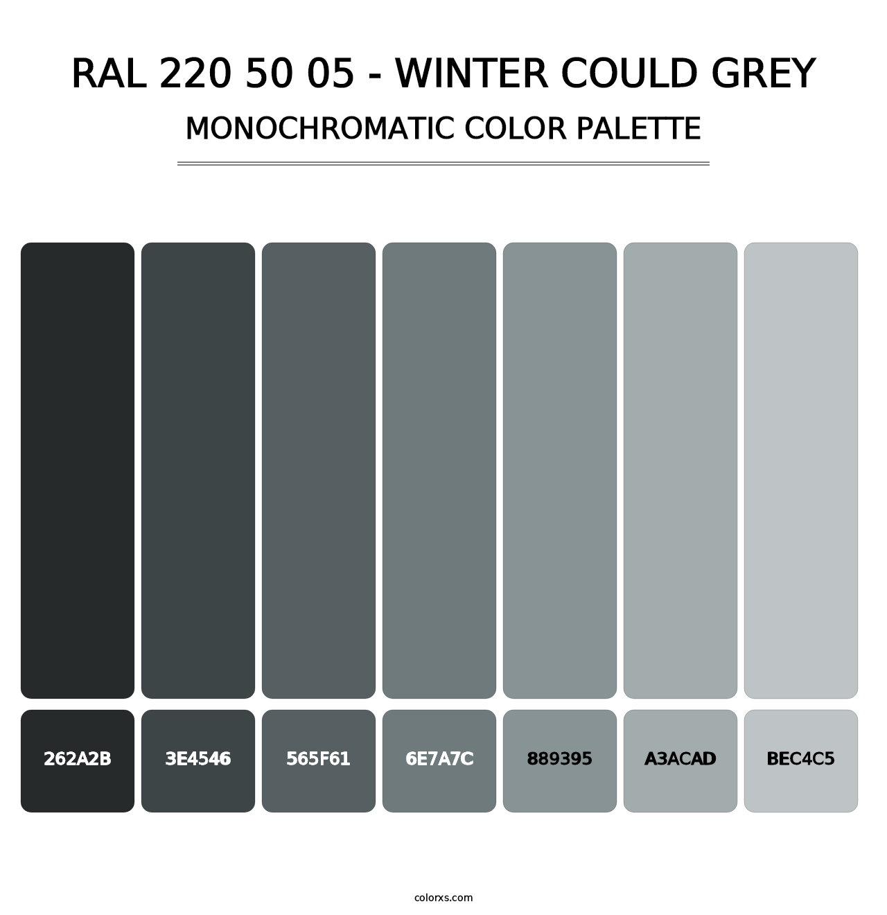 RAL 220 50 05 - Winter Could Grey - Monochromatic Color Palette