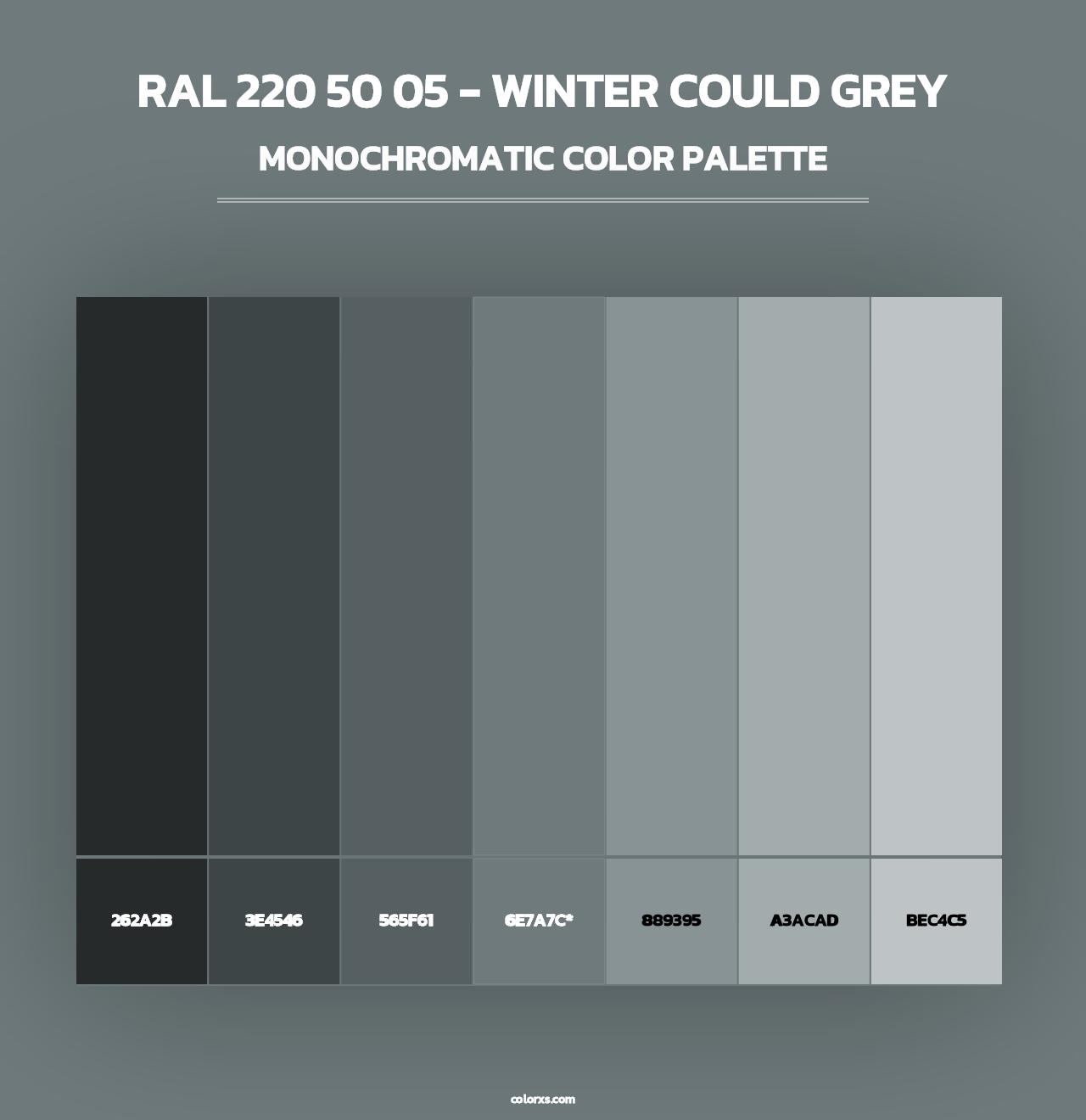RAL 220 50 05 - Winter Could Grey - Monochromatic Color Palette