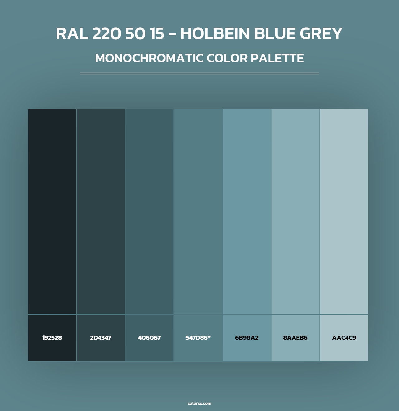 RAL 220 50 15 - Holbein Blue Grey - Monochromatic Color Palette